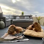 Daire Dog-friendly Seaview *