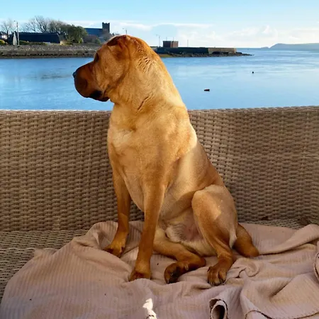 Dog-friendly Seaview