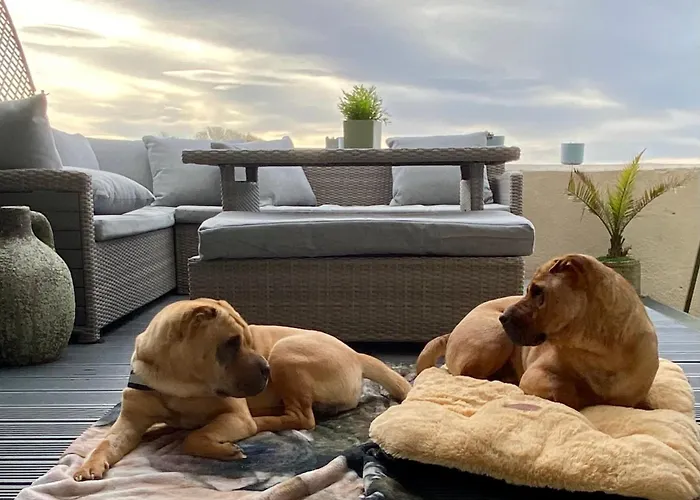 Lägenhet Dog-friendly Seaview *